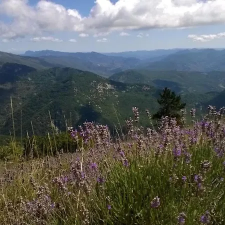 La Roseraie Des Cotes - Piscine *